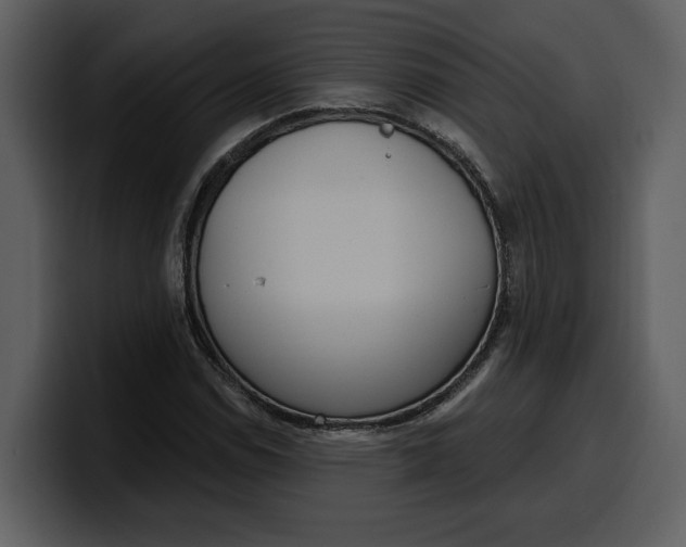 X0000100321114200806190957