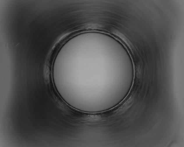 X0000100321115200806190957