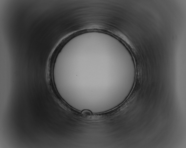 X0000100321116200806190957