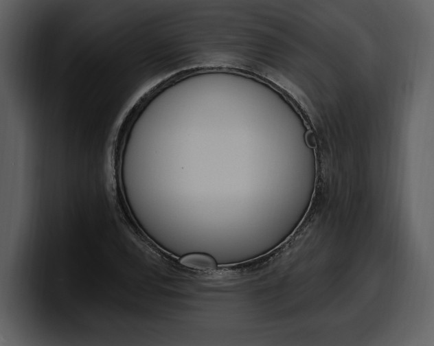 X0000100321120200806190957