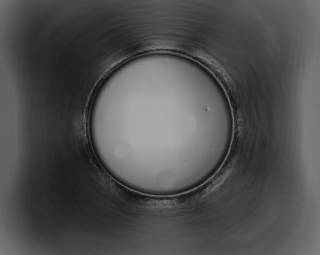 X0000100321121200806190957