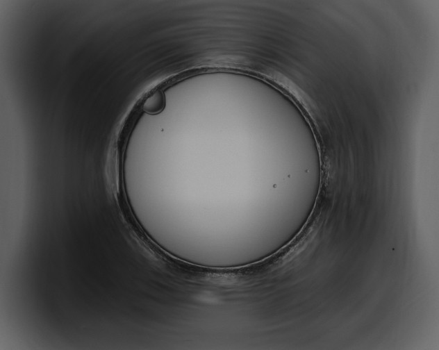 X0000100321123200806190957