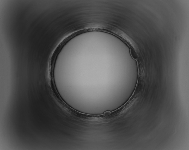 X0000100321124200806190957