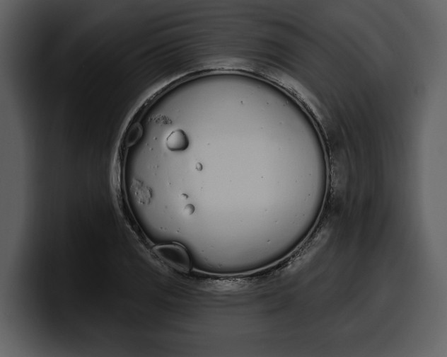 X0000100321125200806190957