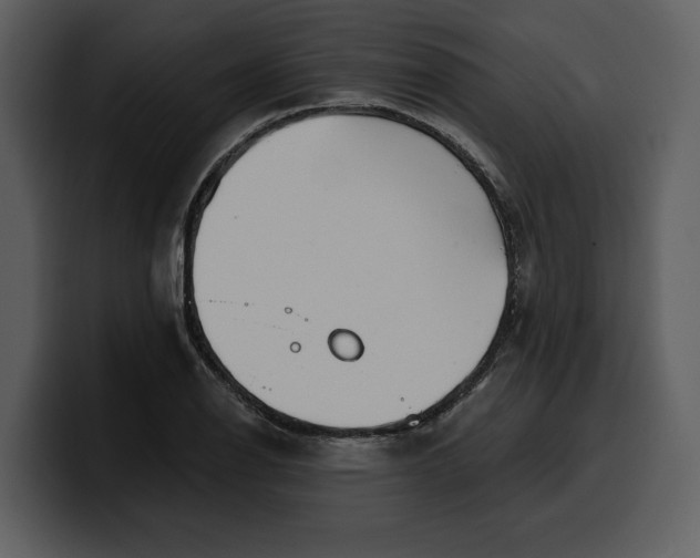 X0000100321126200806190957