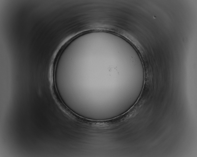 X0000100321128200806190957