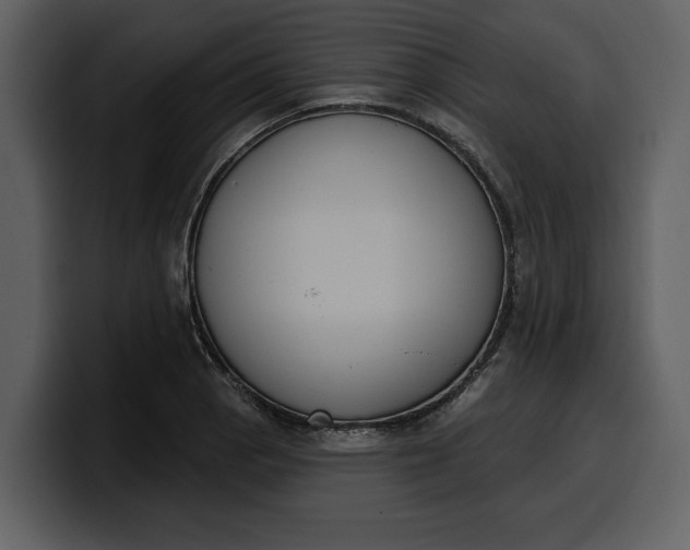 X0000100321129200806190957