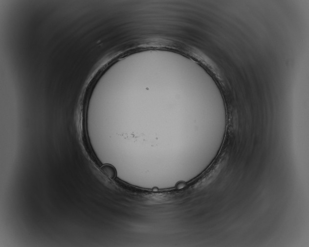 X0000100321130200806190957