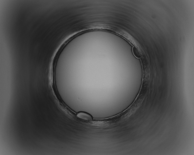 X0000100321132200806190957