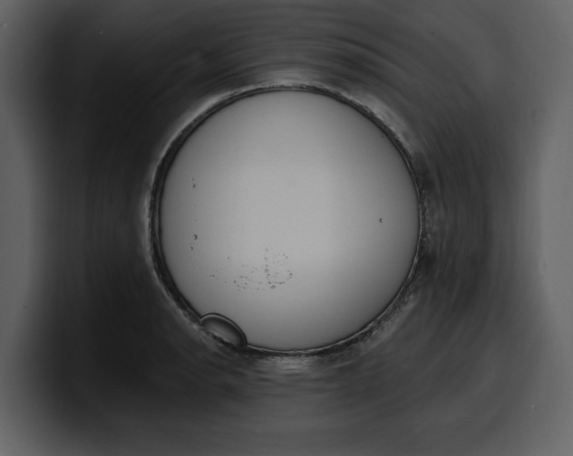 X0000100321134200806190957