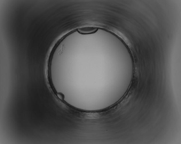 X0000100321136200806190958