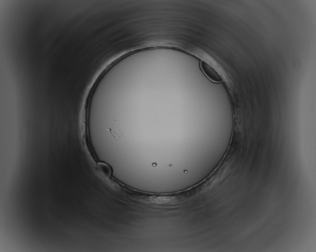 X0000100321140200806190958