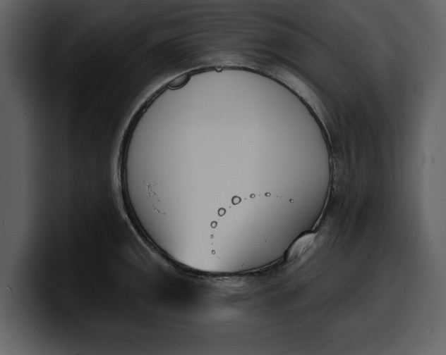 X0000100321141200806190958