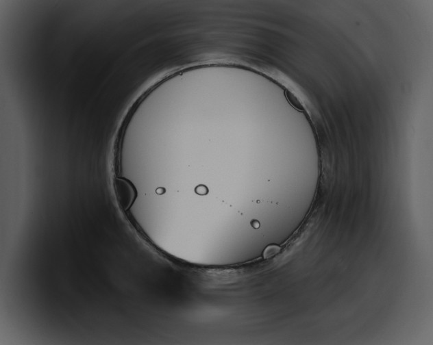 X0000100321142200806190958