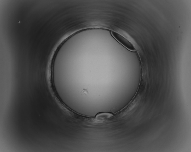 X0000100321144200806190958