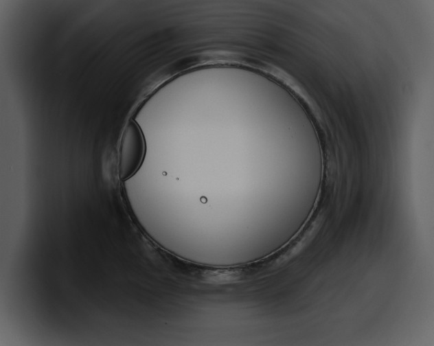 X0000100321145200806190958