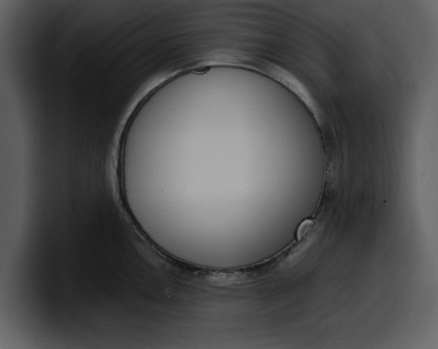 X0000100321146200806190958