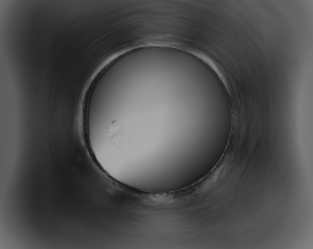 X0000100321147200806190958