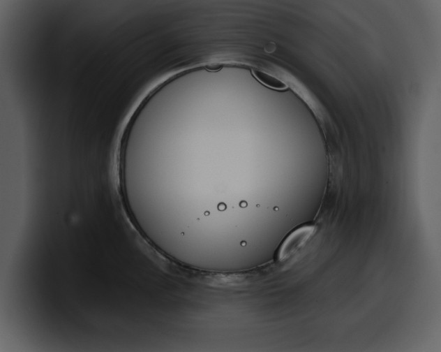 X0000100321148200806190958