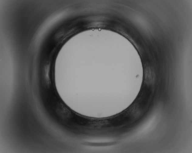 X0000100321150200806190958