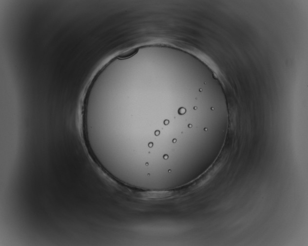 X0000100321151200806190958