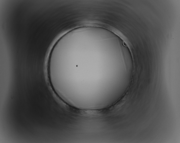 X0000100321152200806190958