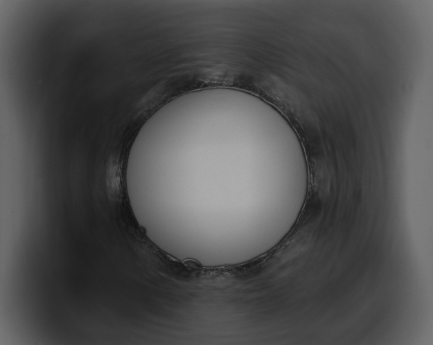 X0000100321154200806190957