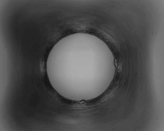 X0000100321156200806190957