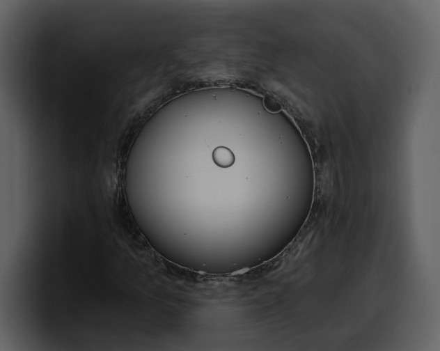 X0000100321157200806190957