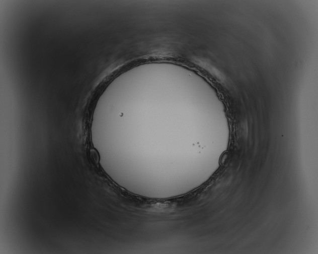 X0000100321160200806190957