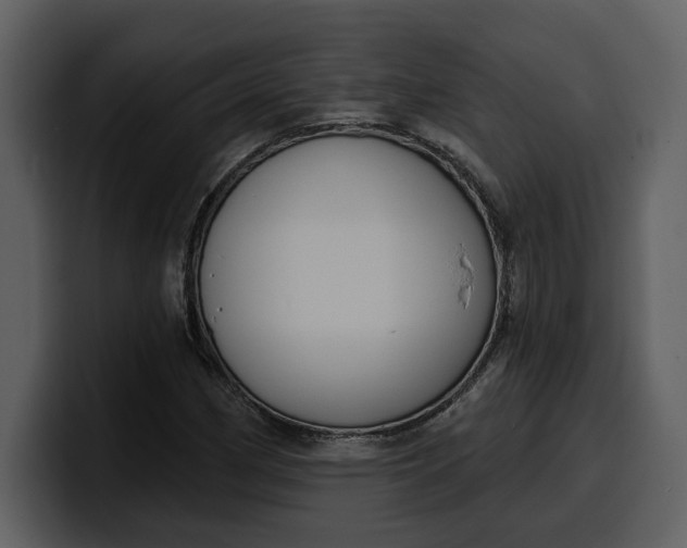 X0000100321162200806190957