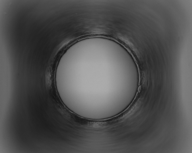 X0000100321163200806190957