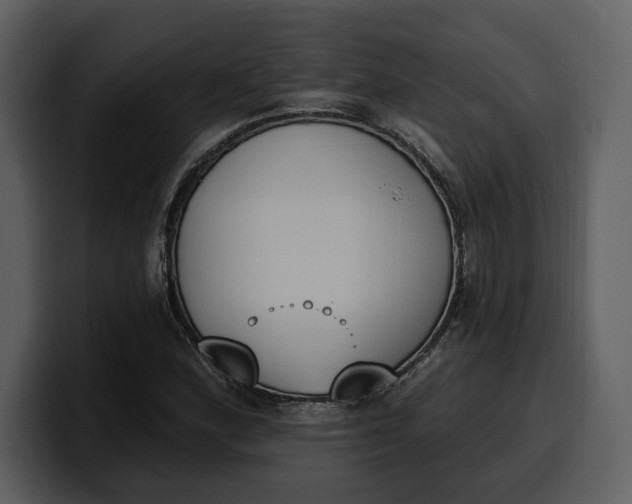 X0000100321164200806190957