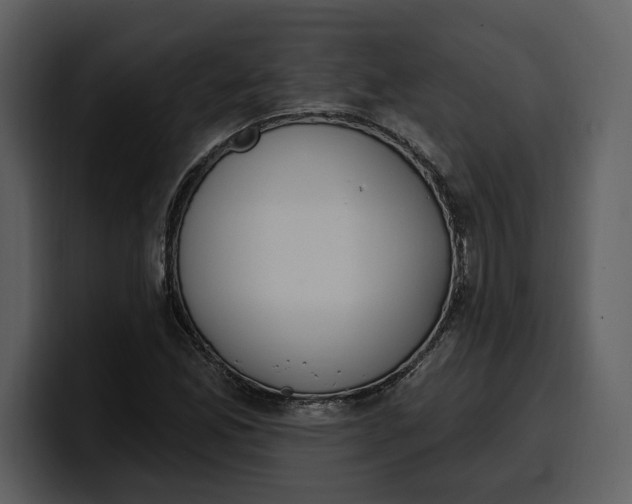 X0000100321165200806190957