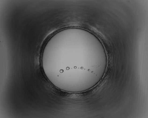 X0000100321166200806190957