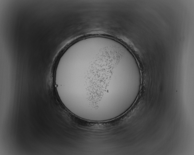 X0000100321167200806190957