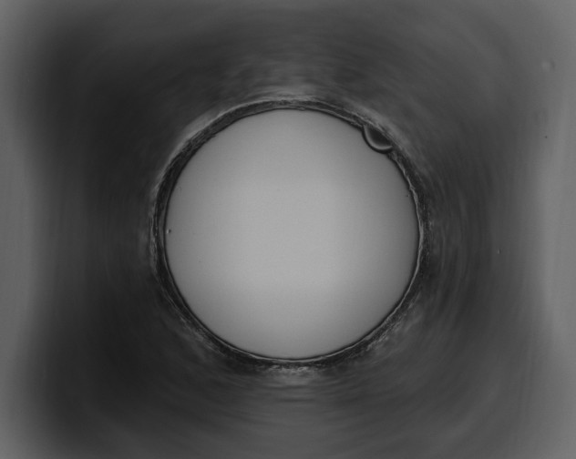 X0000100321168200806190957