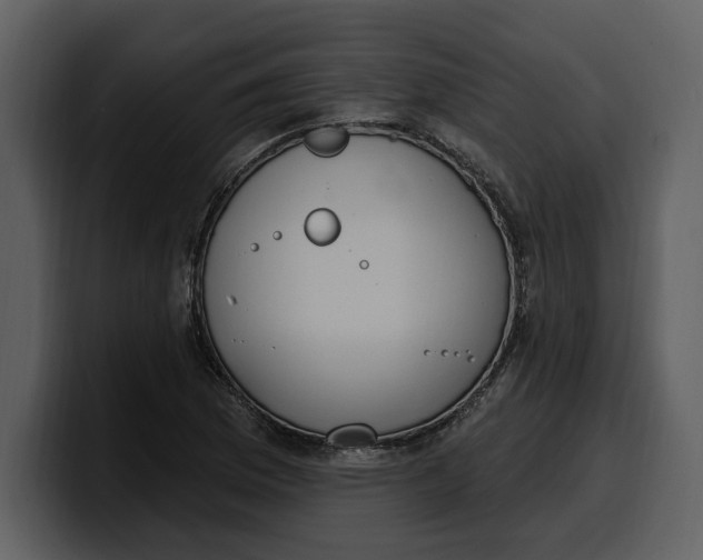 X0000100321169200806190957