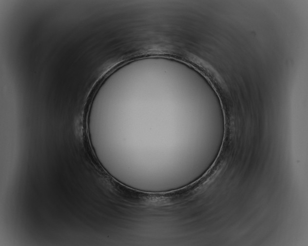 X0000100321170200806190957