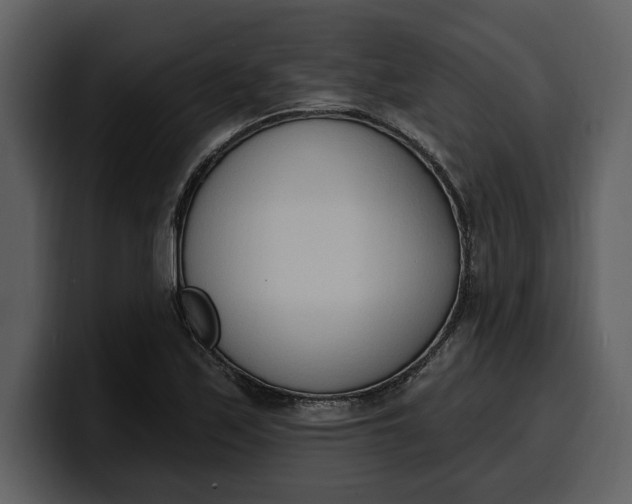 X0000100321171200806190957