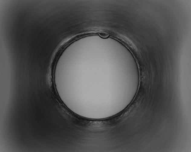 X0000100321172200806190957