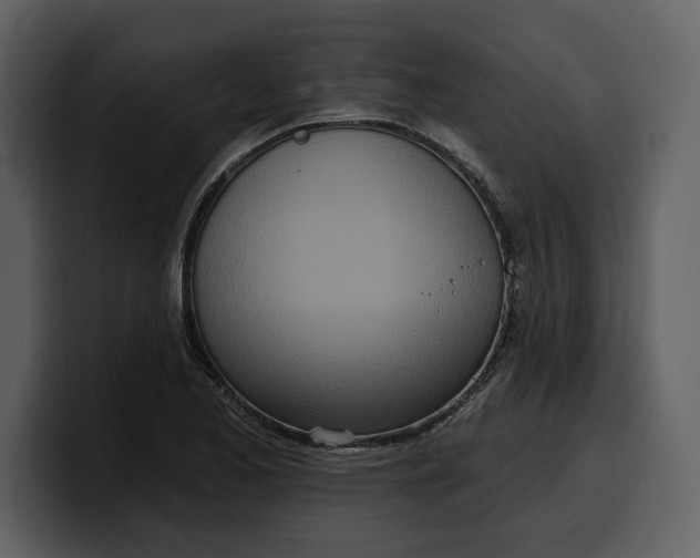 X0000100321173200806190957