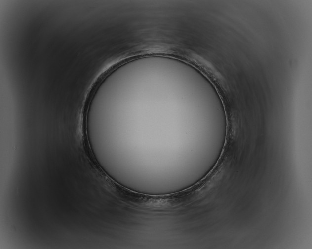 X0000100321174200806190957