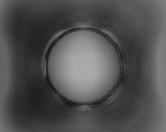 X0000100321175200806190957