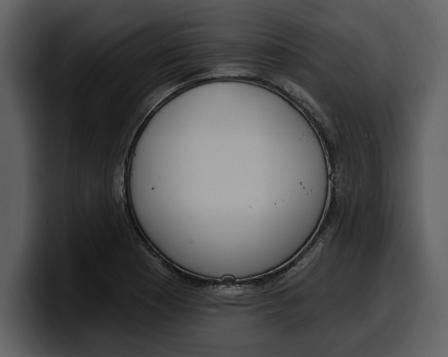 X0000100321177200806190957