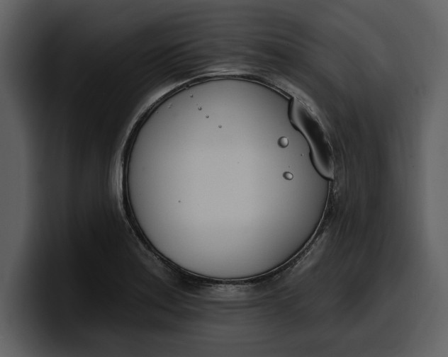 X0000100321179200806190957