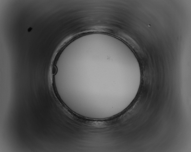 X0000100321180200806190957