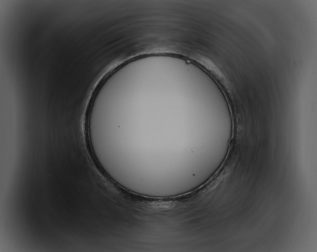 X0000100321181200806190957