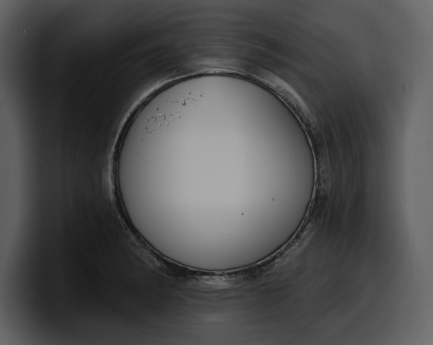 X0000100321182200806190957