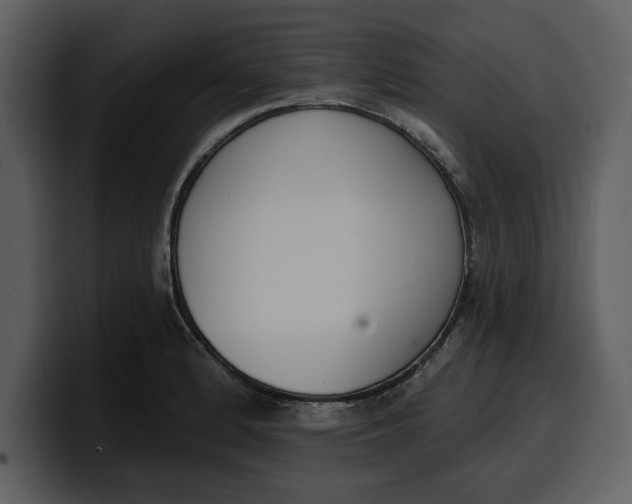 X0000100321184200806190957